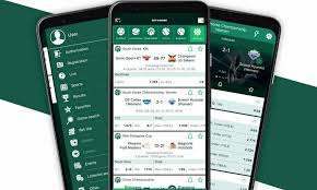 Comprehensive BetWinner Review Everything You Need to Know