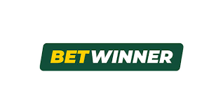 Exploring BetWinner Casino A Comprehensive Guide