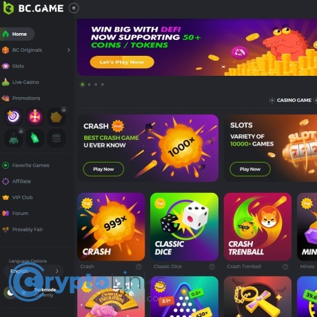 Unlocking the World of Digital Gaming BC.Game